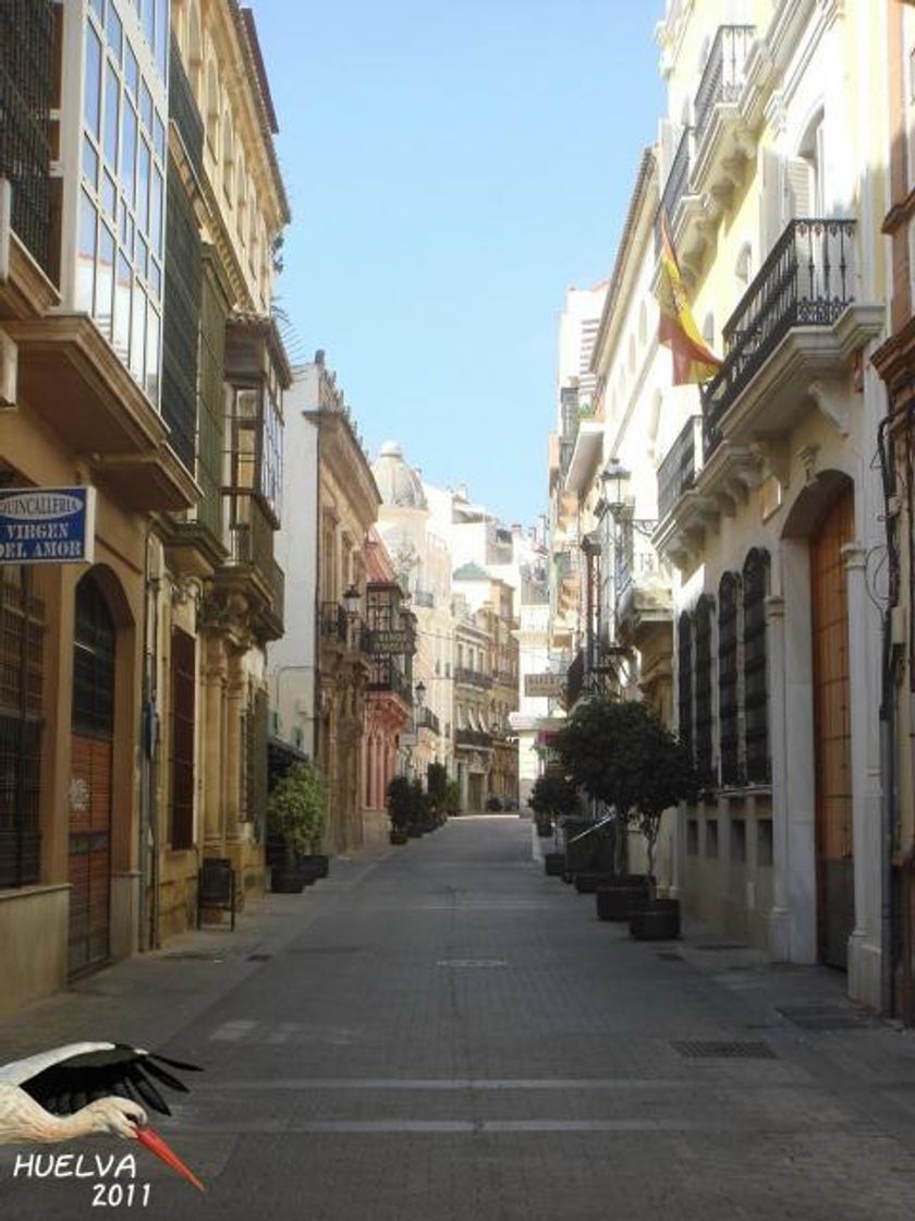 Place Calle Rico