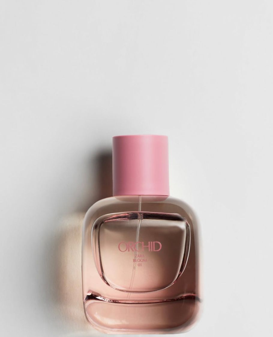 Social Perfume orchid 