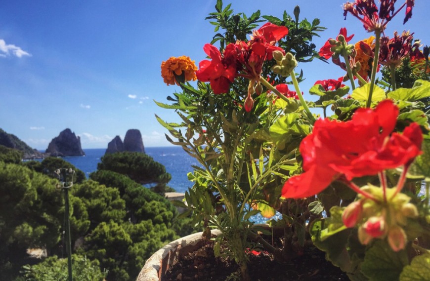 Place Capri – Amami Teneramente