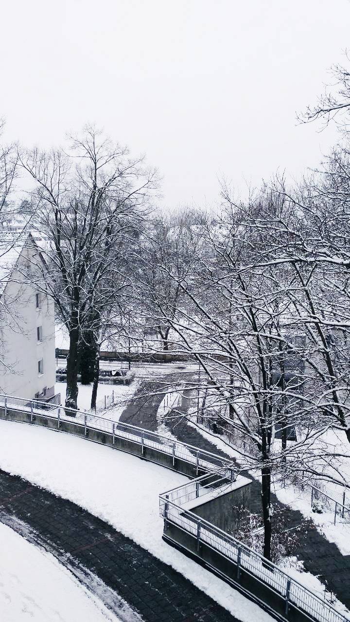 Lugar Vitusheim Studentenwohnheim