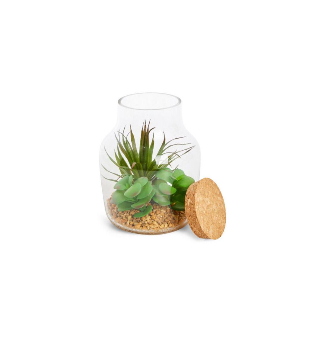 Product Terrário vidro 