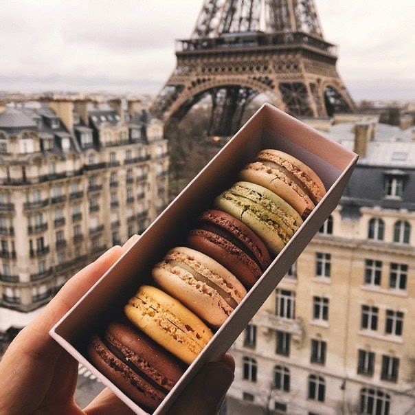 Moda Macarons 