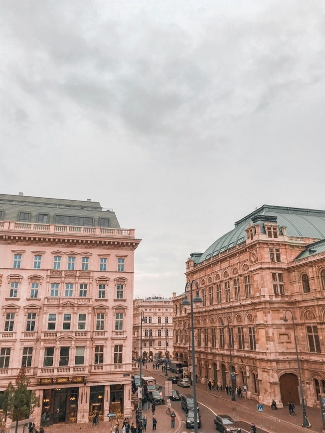 Lugar Vienna Operahouse