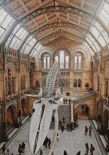 Natural History Museum