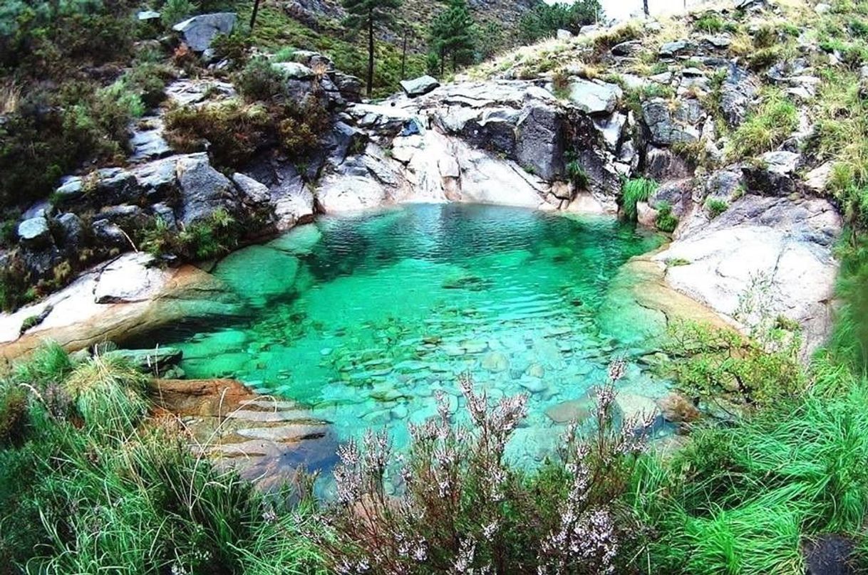 Lugar Poço Azul