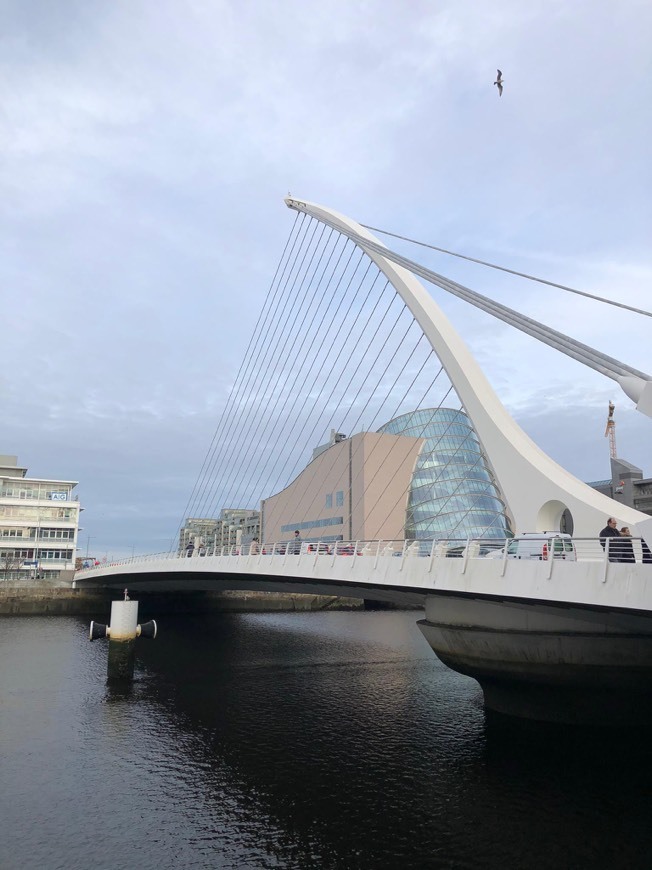 Lugar Samuel Beckett Bridge