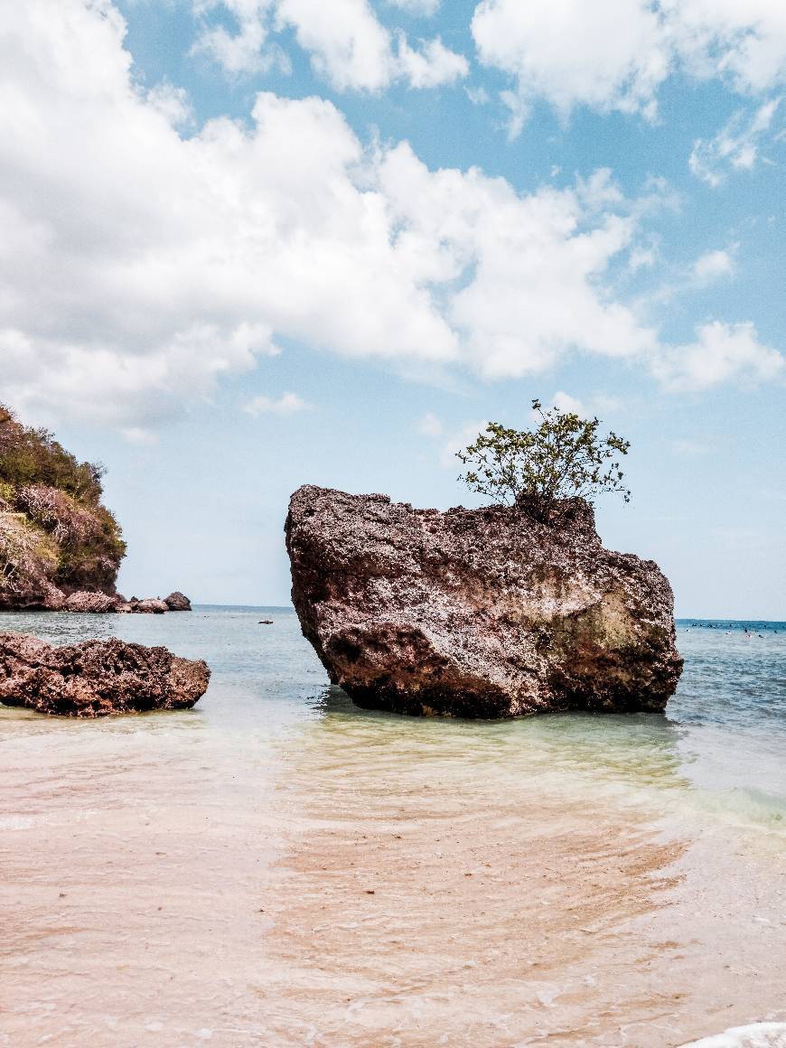 Place Padang Padang Beach