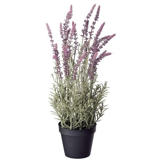 FEJKA Planta artificial em vaso - alfazema lilás - IKEA