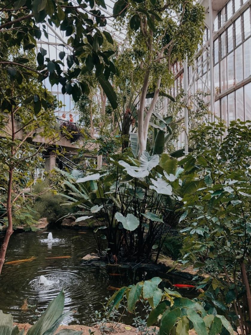 Lugar Barbican Centre