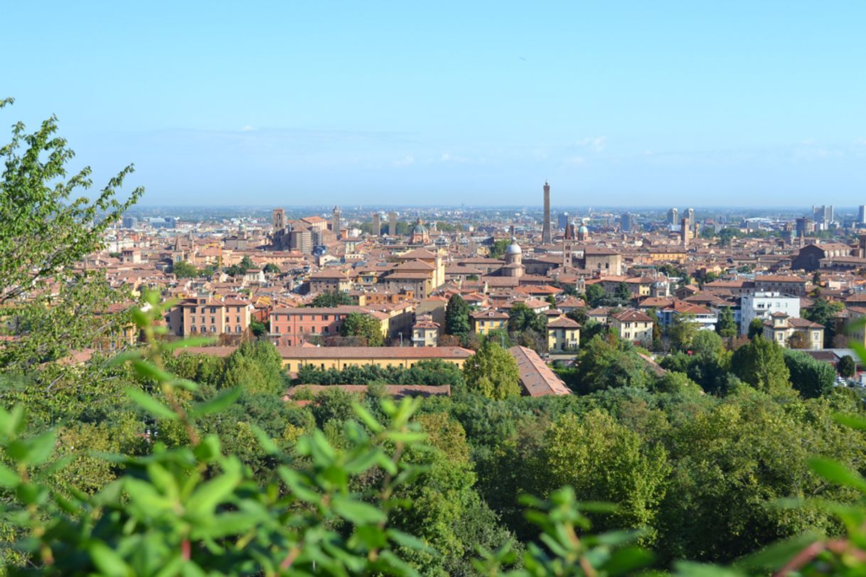 Lugar San Michele In Bosco