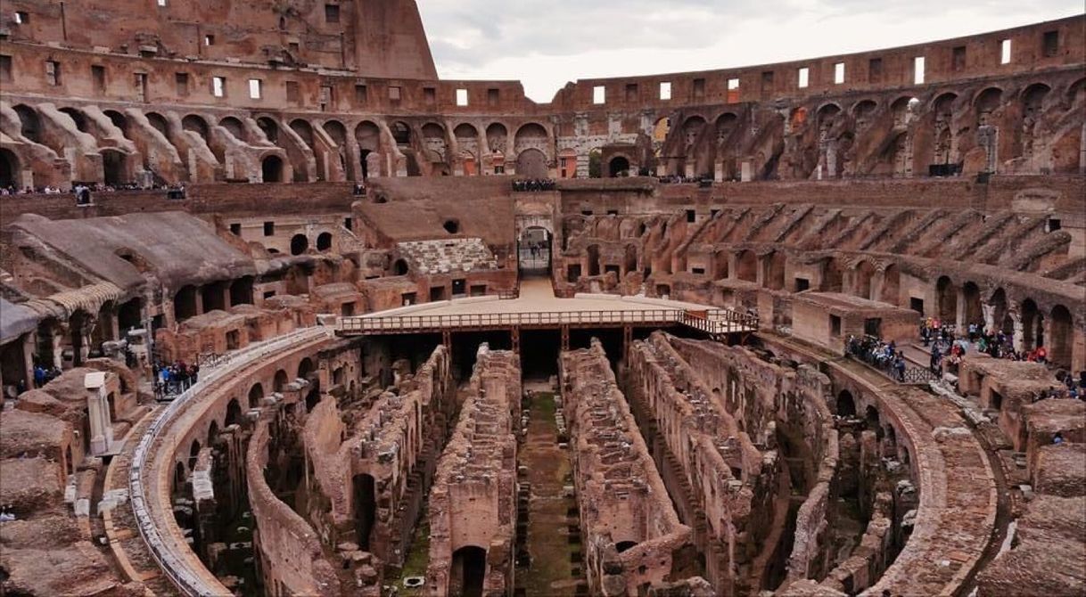 Lugar Coliseo de Roma