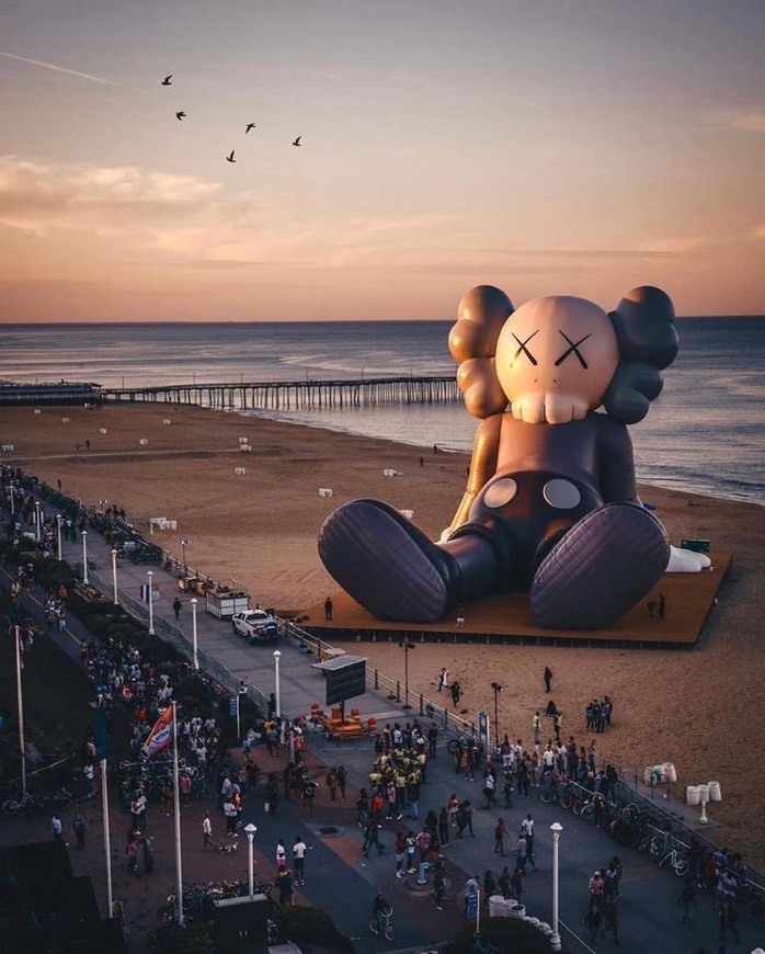 Fashion Kaws in Virginia Beach