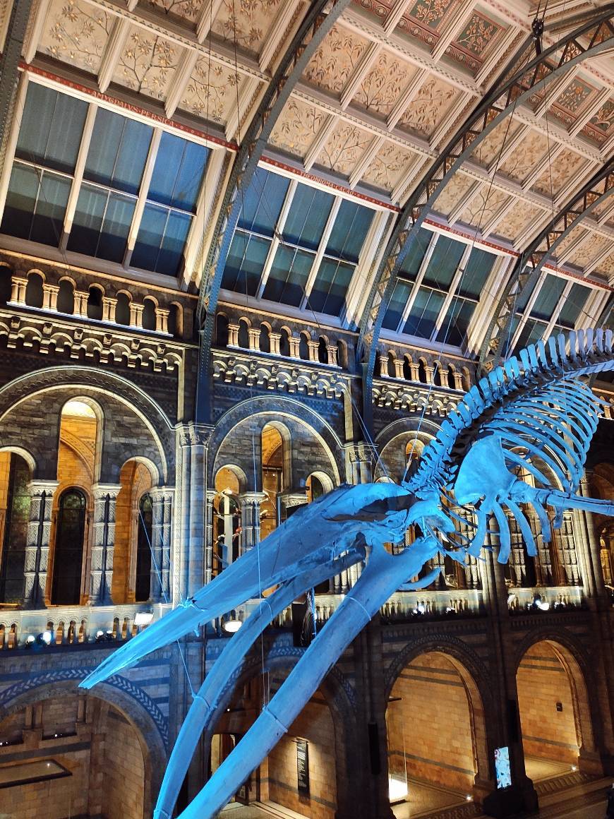 Lugar Natural History Museum
