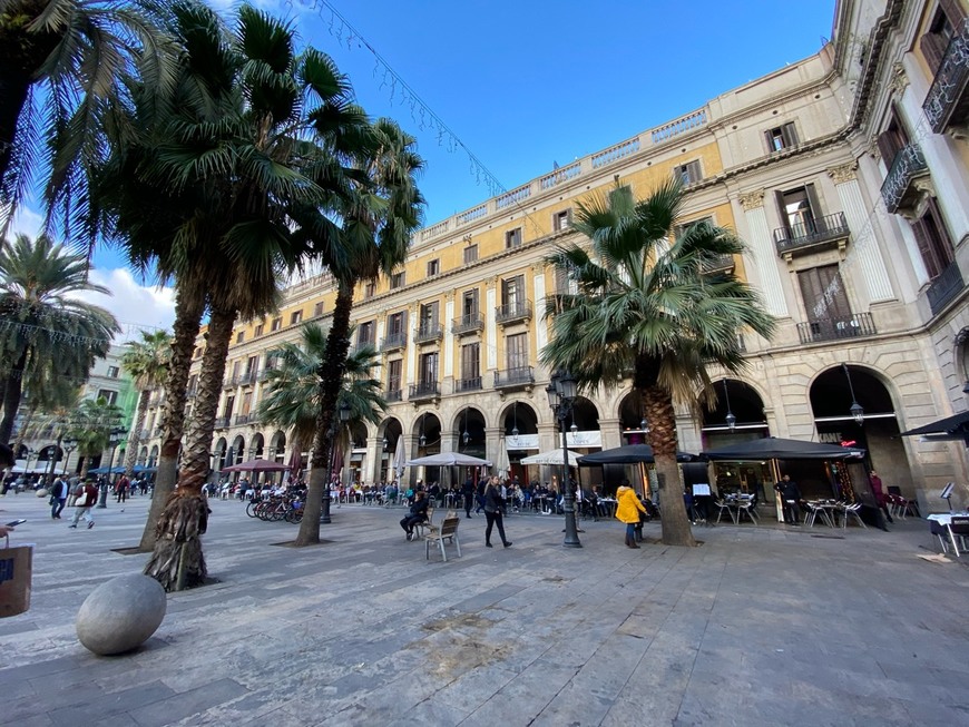 Lugar Plaça Reial