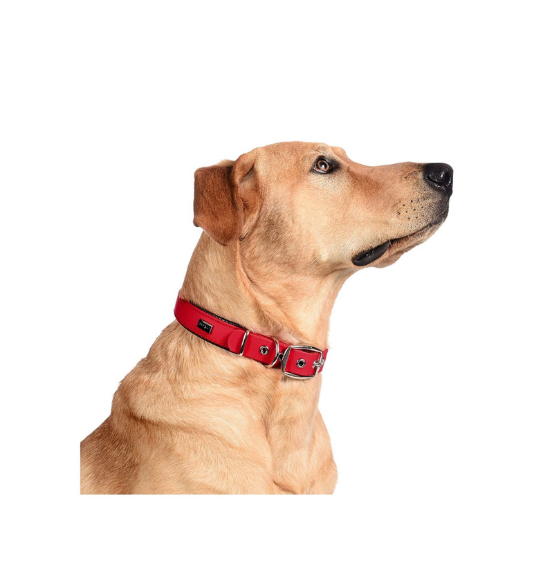 Product COLLAR de PERRO PETTEC