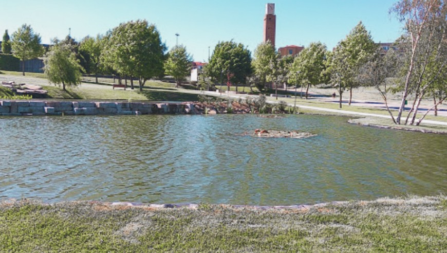 Lugar Parque da Cidade de Fafe