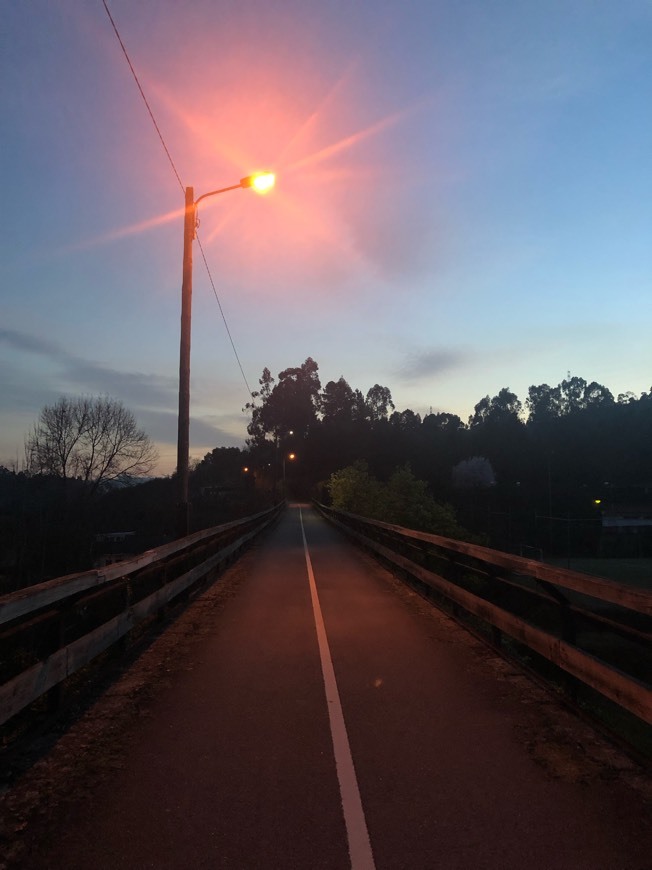 Lugar Pista de Cicloturismo