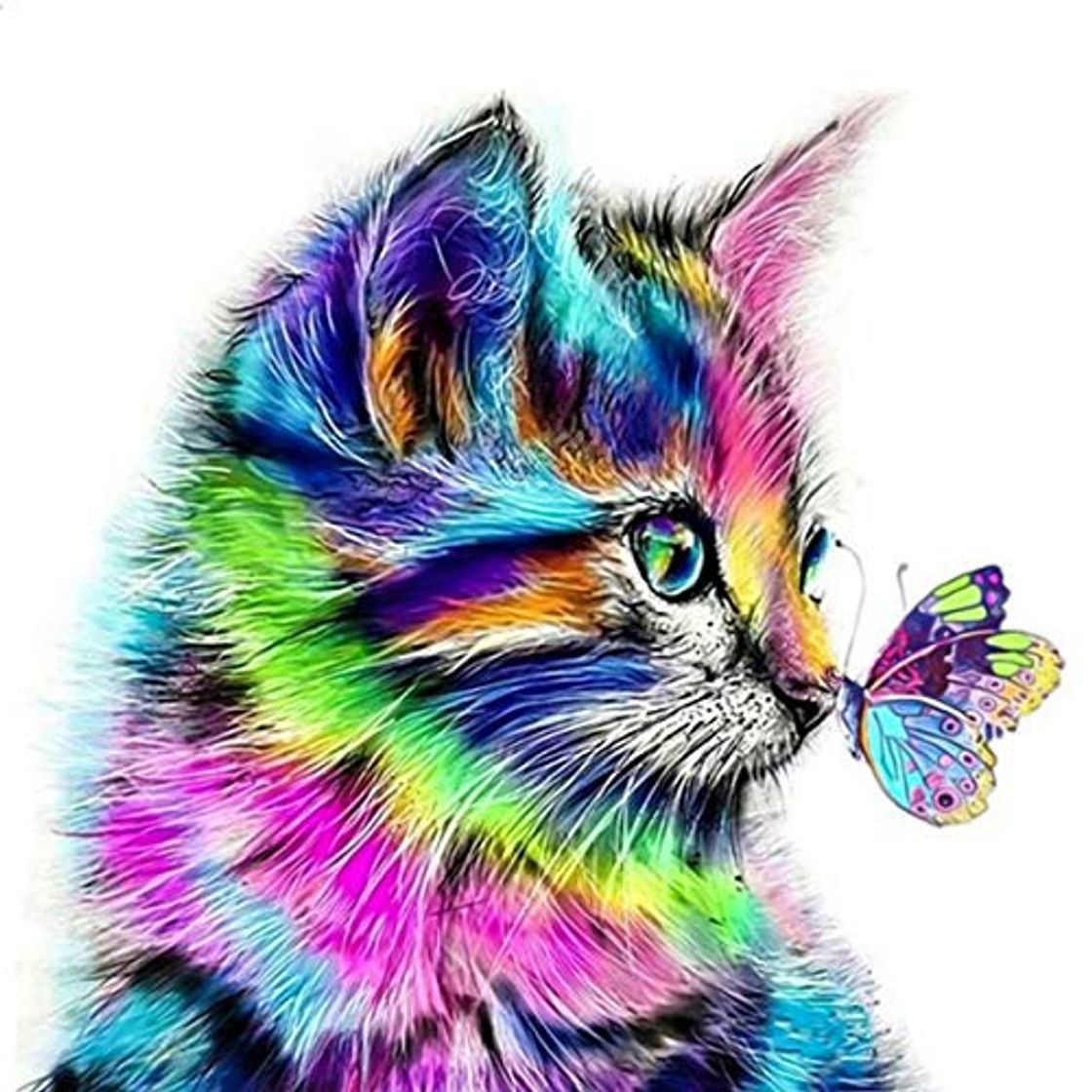 Social HQdeal 30 * 30cm DIY 5D Diamante Pintura Kits, Gato y Mariposa