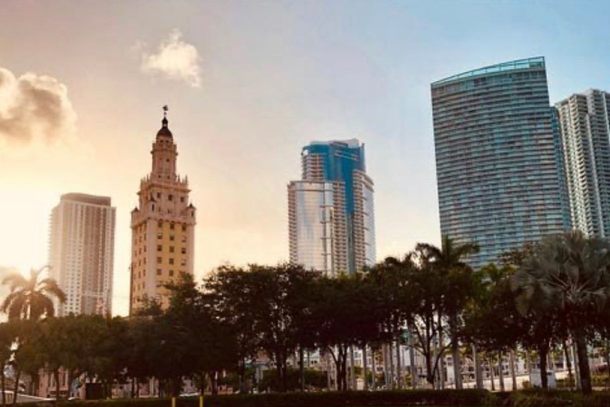 Place Downtown Miami