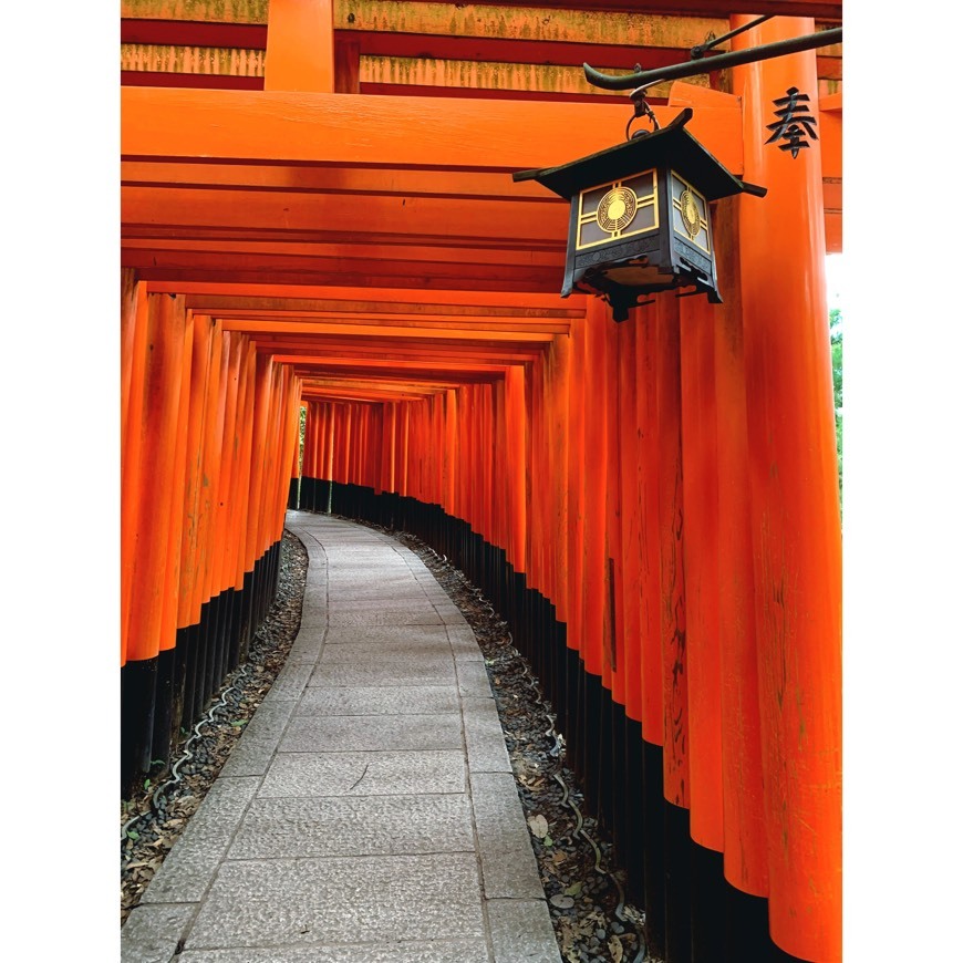 Lugar Fushimi Inari-taisha