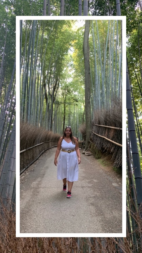 Lugar Bamboo forest