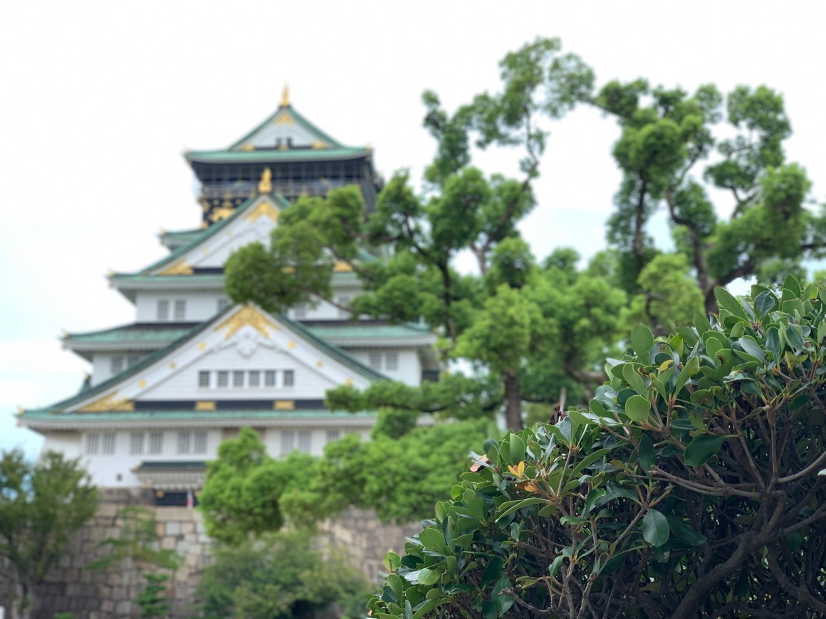 Place Osaka Castle