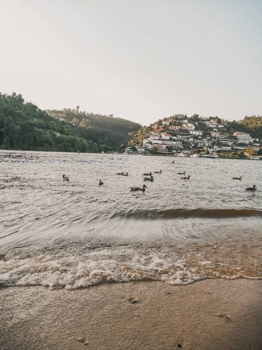 Lugar Fluvial da Lomba Beach