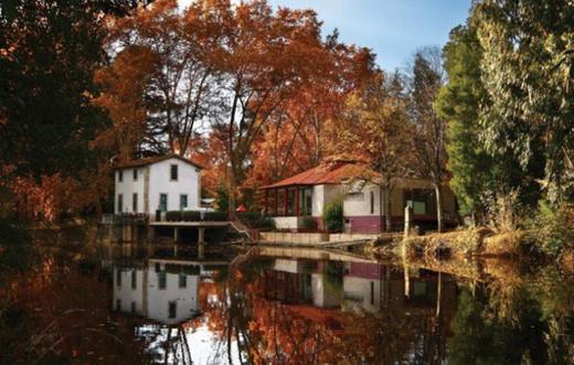 Vizela Parque Das Termas