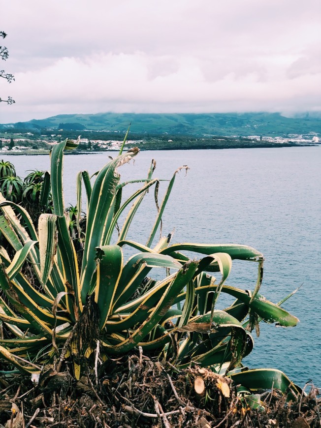 Place Açores