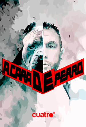 Serie A Cara de Perro