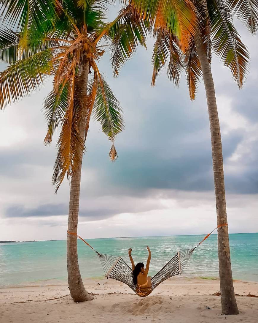 Hotel Riu Atoll