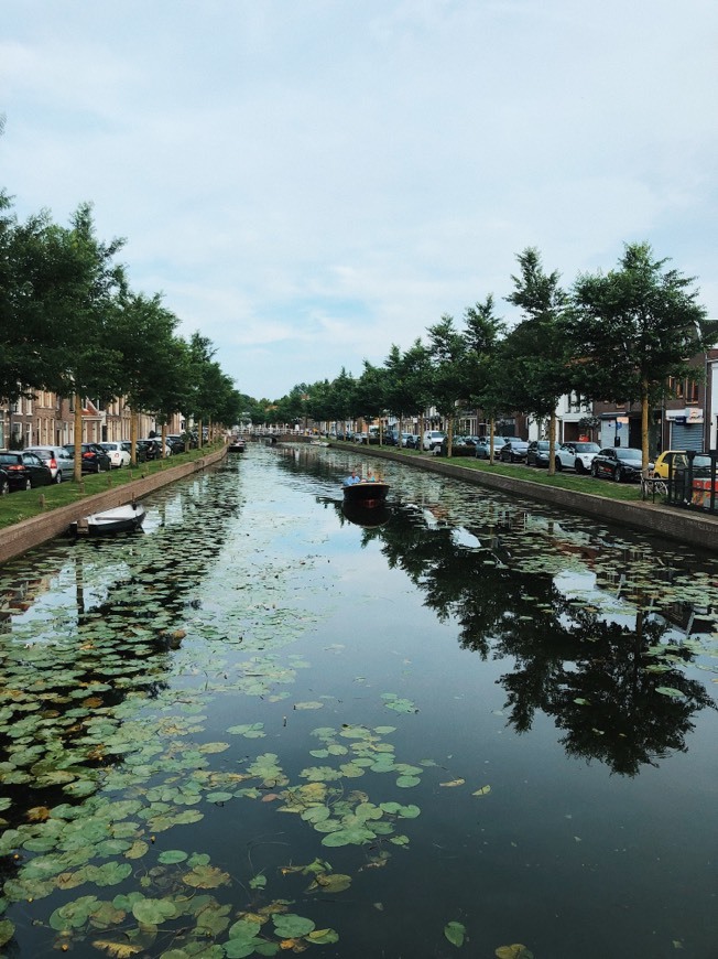 Weesp