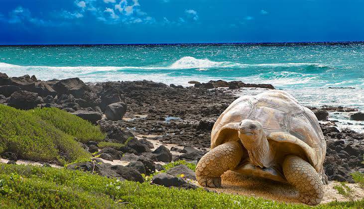 Lugar Galapagos Islands