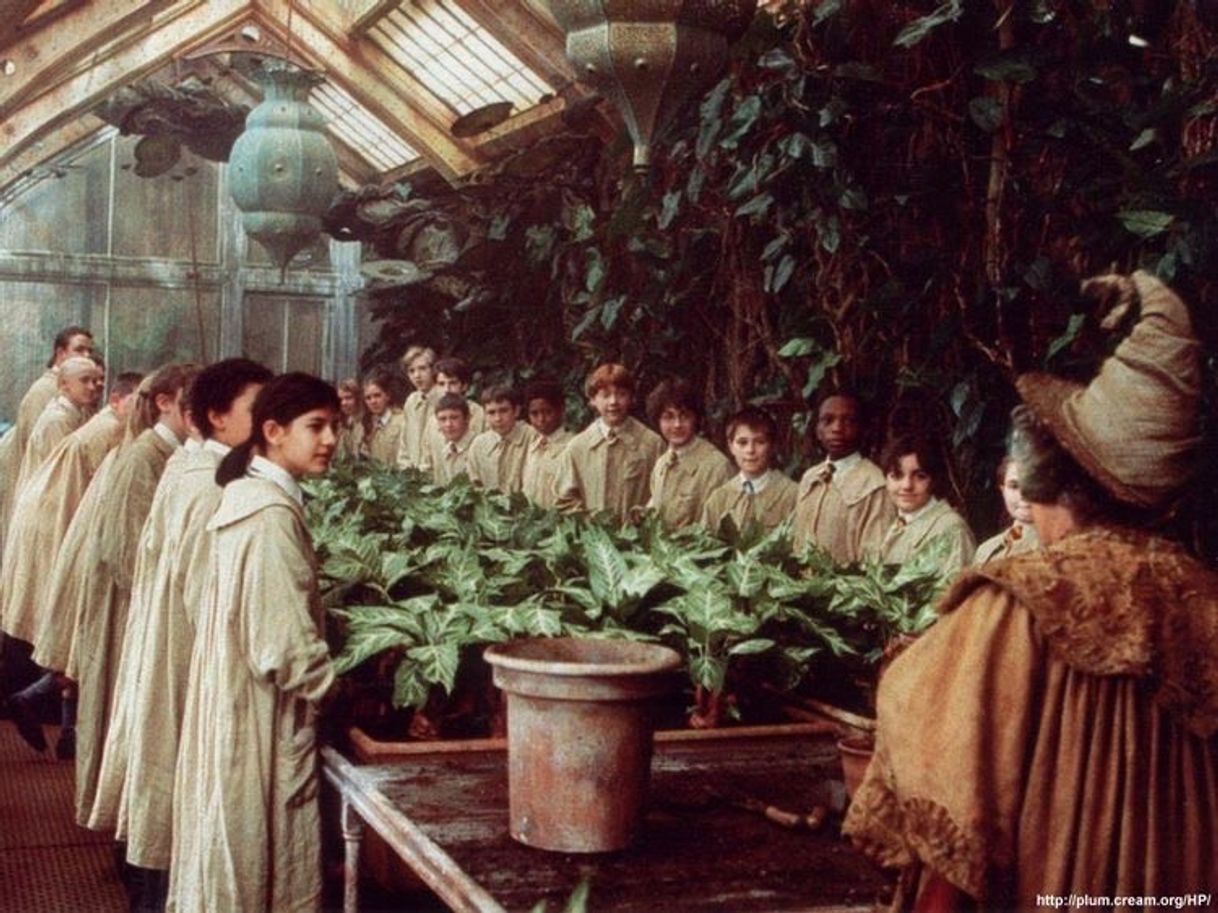 Fashion Herbology class