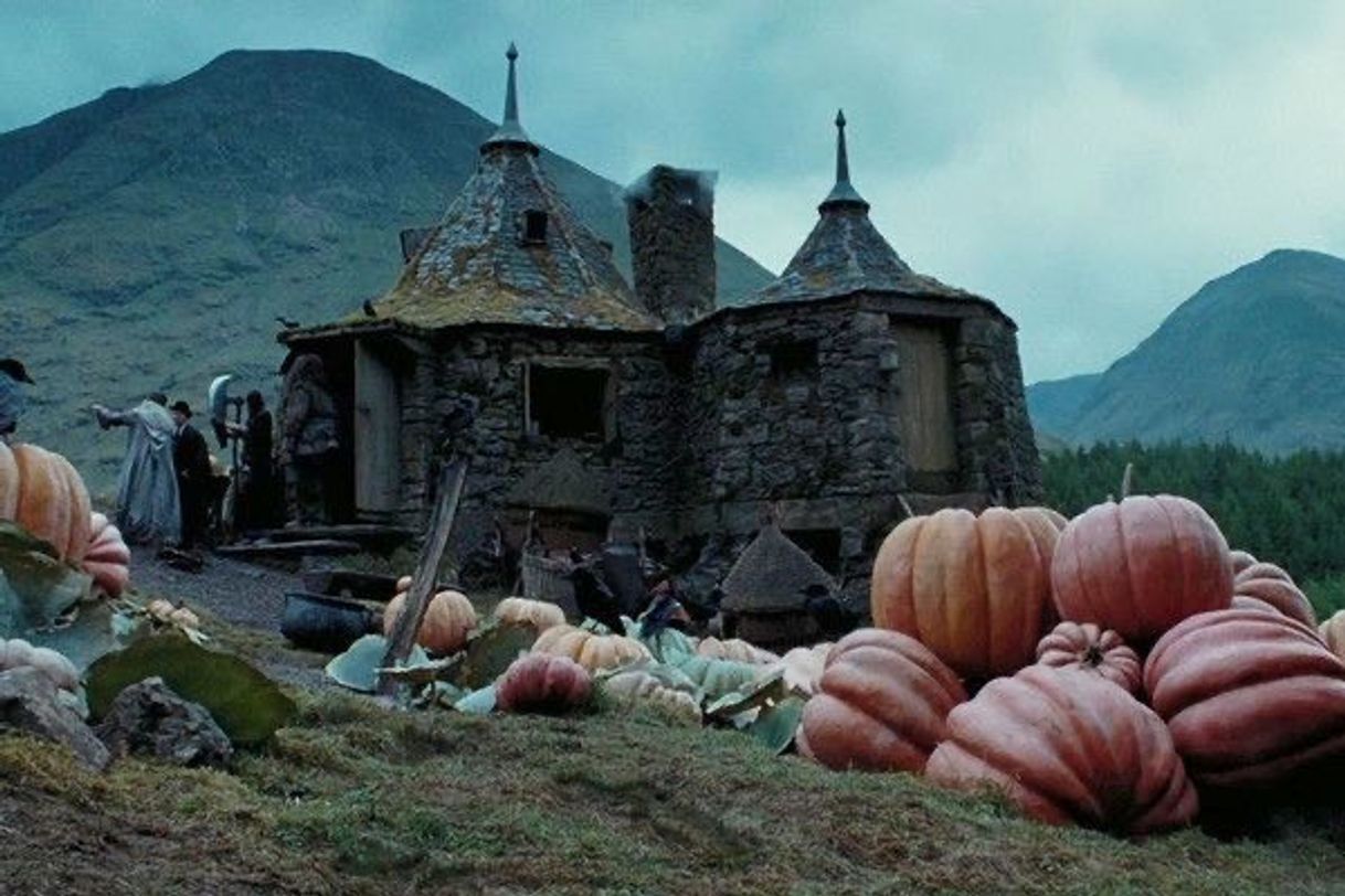 Moda Hagrid’s hut