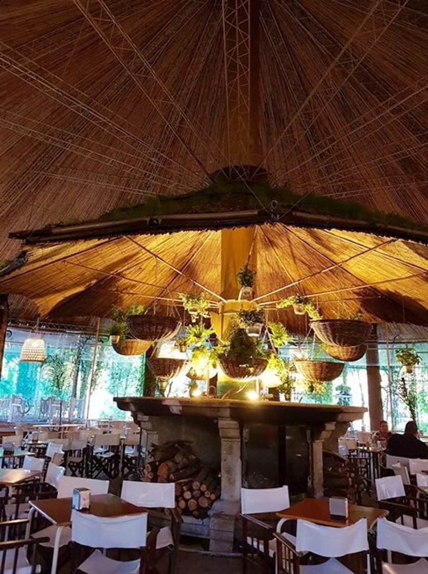 Restaurant Bamboo & Coconut - by Quinta Lago dos Cisnes