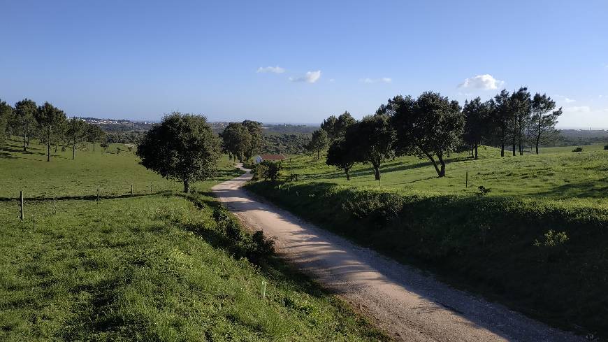 Lugares Quinta do Pisão