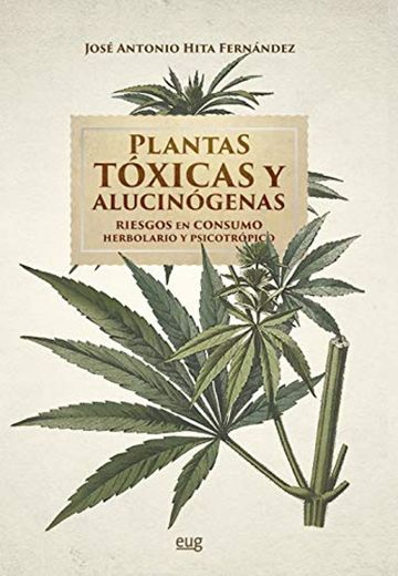 Plantas Tóxicas y Alucinógenas