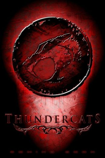 Thundercats hooooouu !!! 🦁