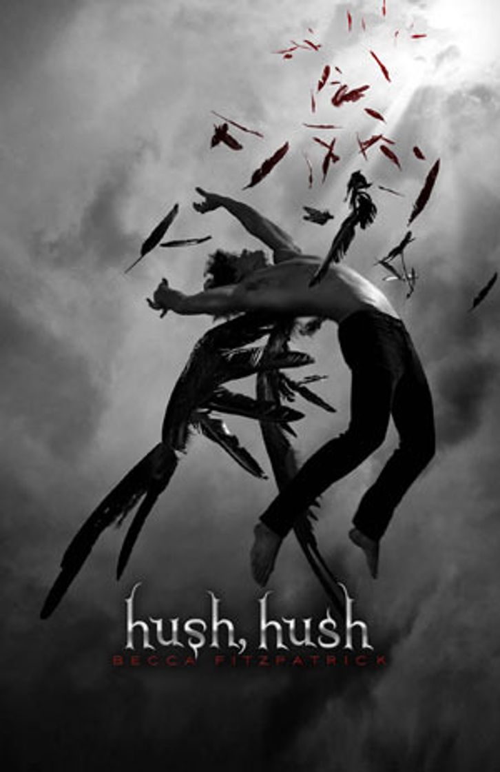Libro Hush, Hush