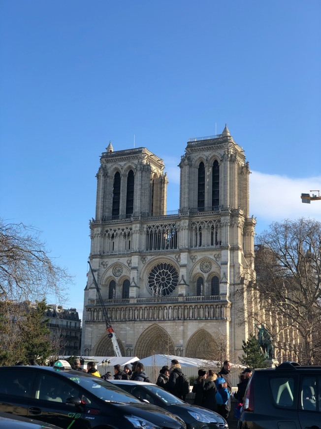 Lugar Catedral de Notre Dame