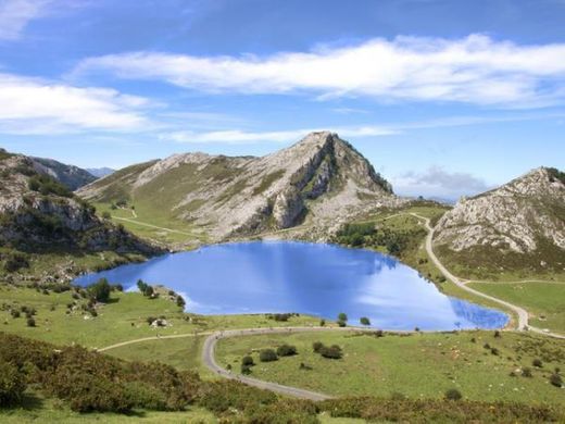 Picos de Europa