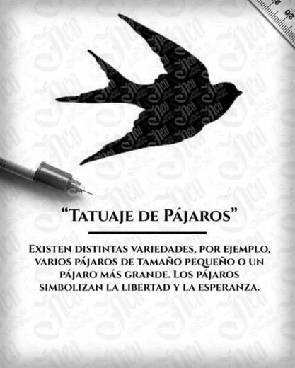 Pájaro