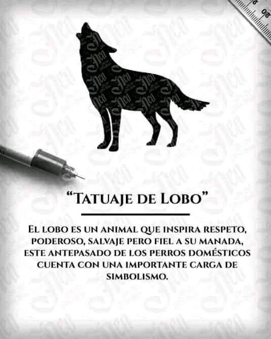 Moda Lobo