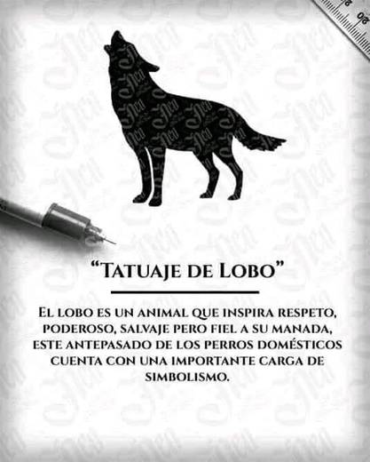 Lobo