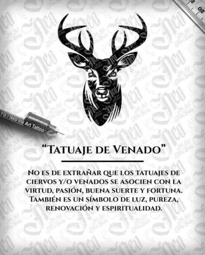 Venado