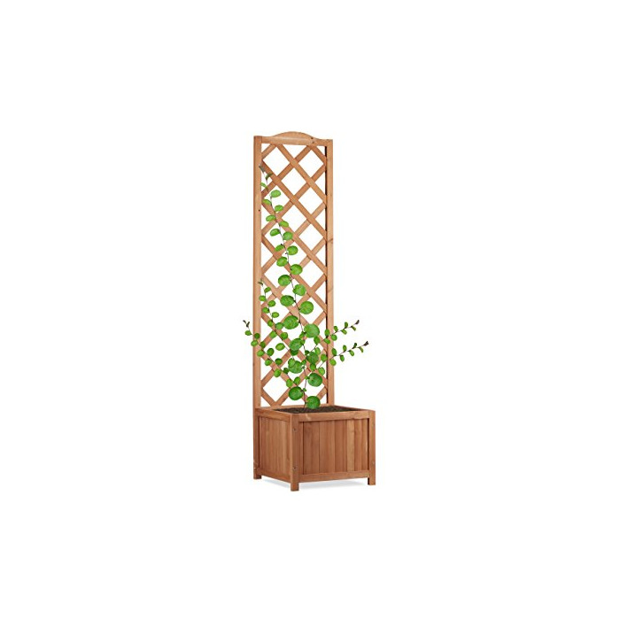 Social Relaxdays Plantas con Soporte para Trepadora