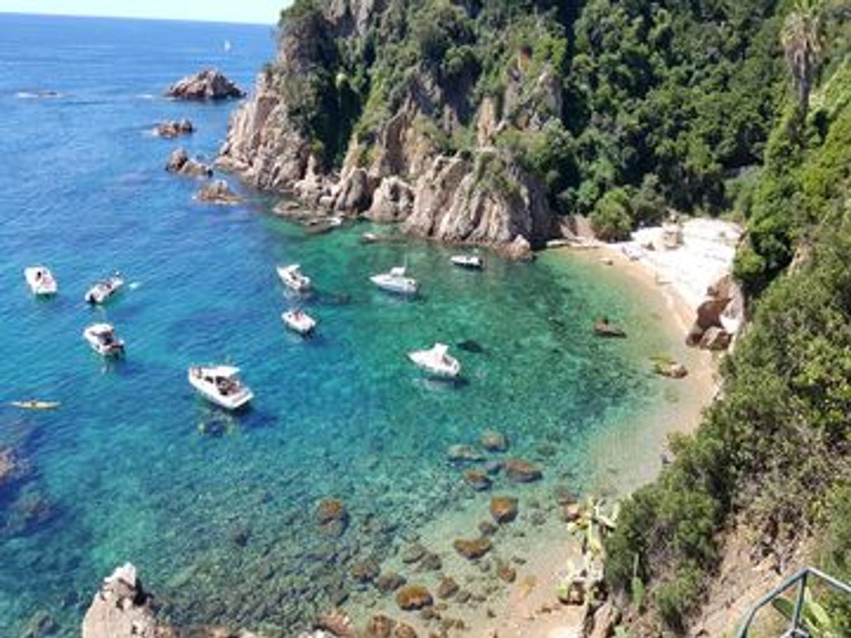 Lugar Cala Sa Forcanera