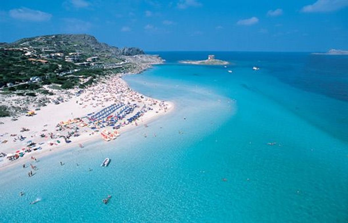 Place Playa Pelosa