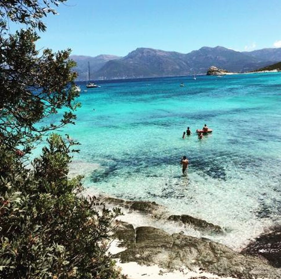 Lugares Plage du Lotu